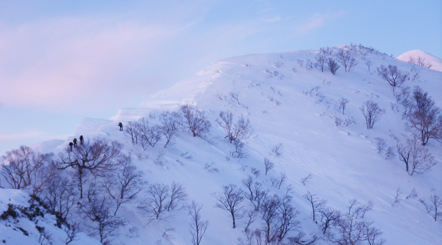 スライド４：天然ナメコ